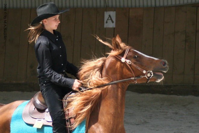 Westernturnier Hoschkara 2008 16