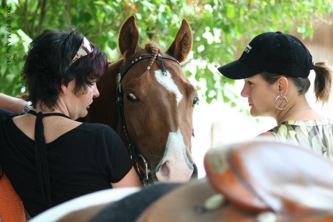 Westernturnier Hoschkara 2008 18