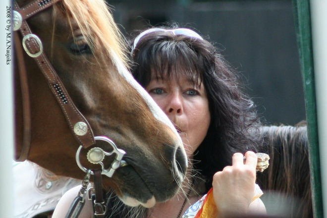 Westernturnier Hoschkara 2008 19