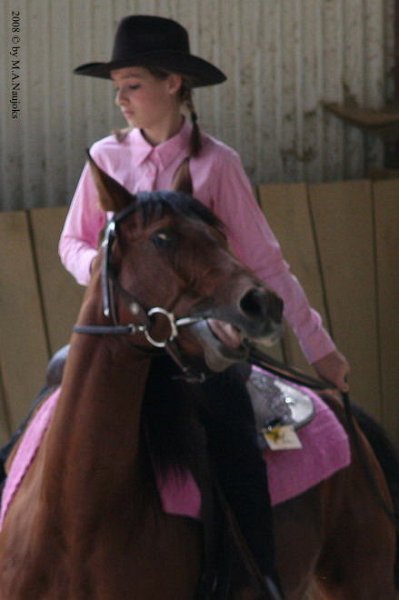 Westernturnier Hoschkara 2008 21