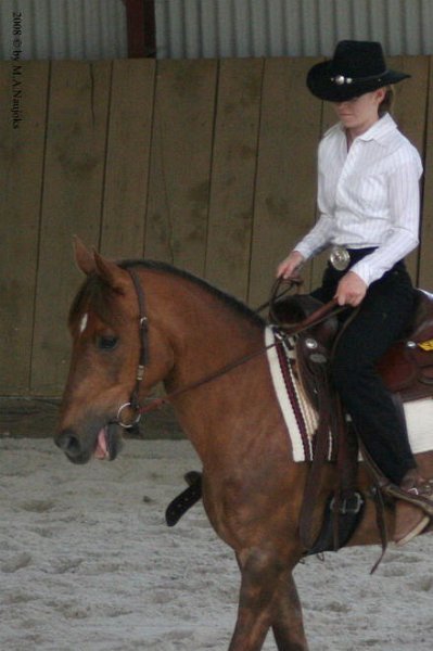 Westernturnier Hoschkara 2008 22