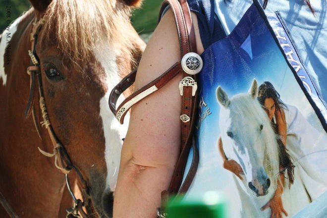 Westernturnier Hoschkara 2008 26
