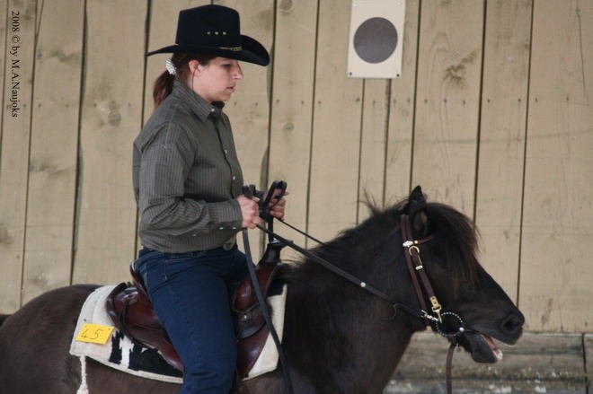 Westernturnier Hoschkara 2008 29