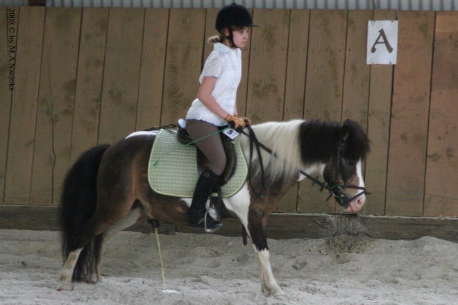 Westernturnier Hoschkara 2008 38