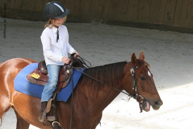 Westernturnier Hoschkara 2008 55