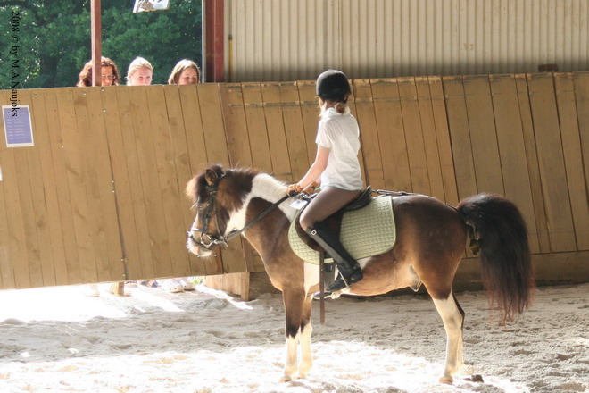 Westernturnier Hoschkara 2008 61