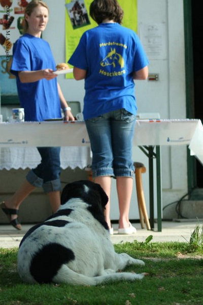 Westernturnier Hoschkara 2008 64