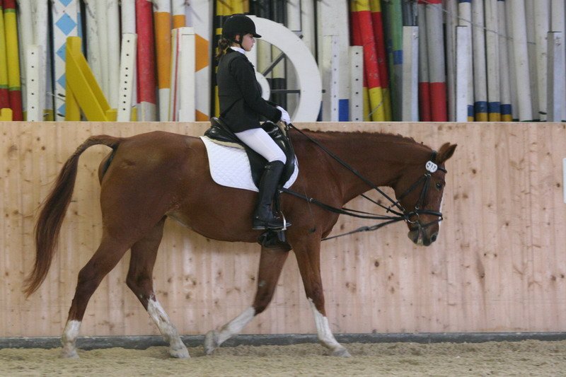 Geisenhausen 2009 015