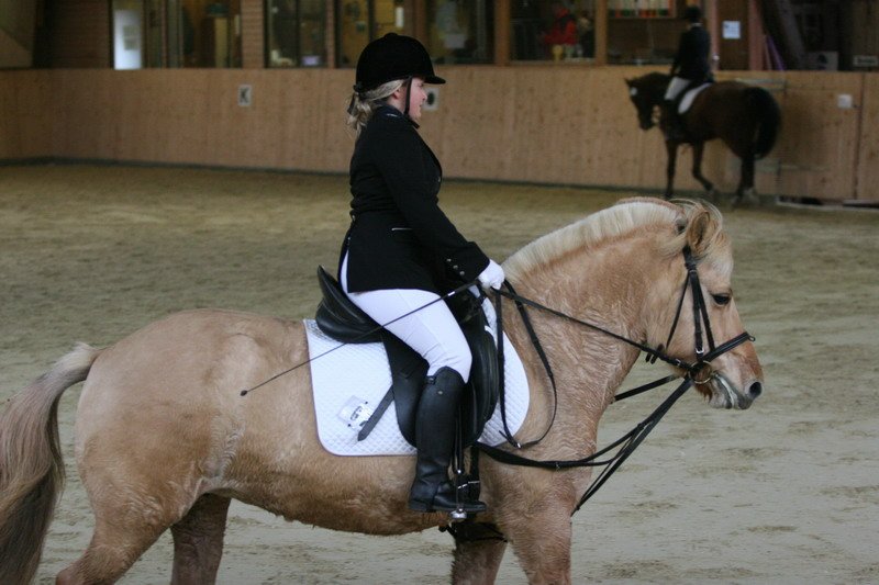 Geisenhausen 2009 024