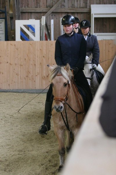 Geisenhausen 2009 025