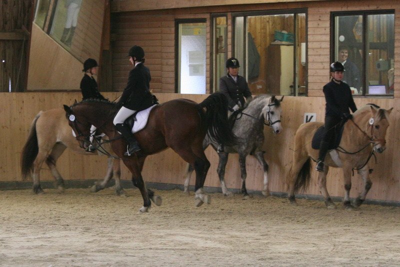 Geisenhausen 2009 027