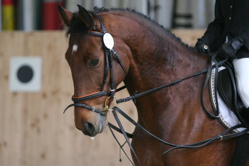 Geisenhausen 2009 031