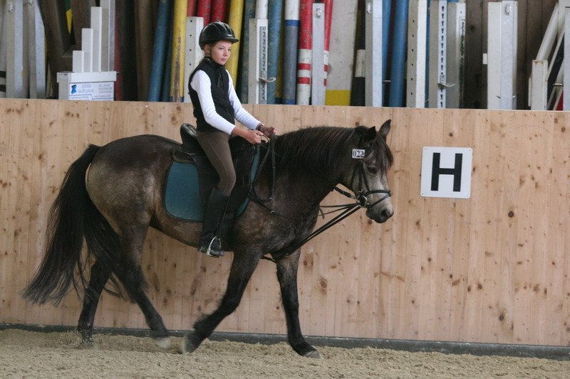 Geisenhausen 2009 034