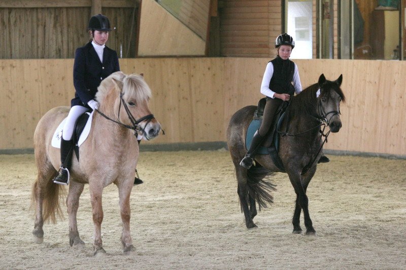 Geisenhausen 2009 035