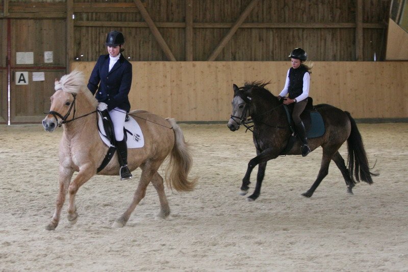 Geisenhausen 2009 037
