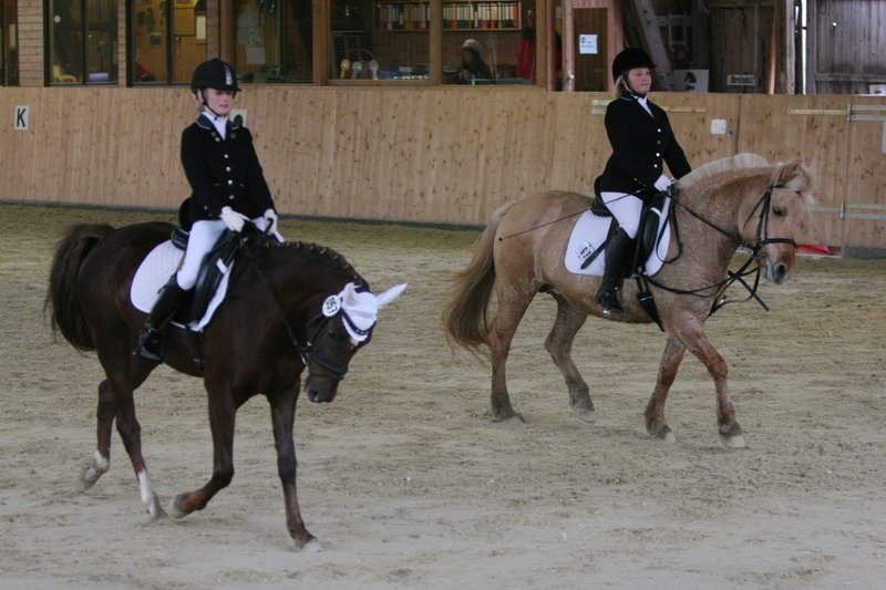 Geisenhausen 2009 039