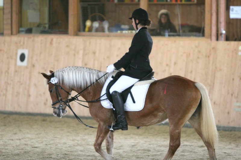 Geisenhausen 2009 047