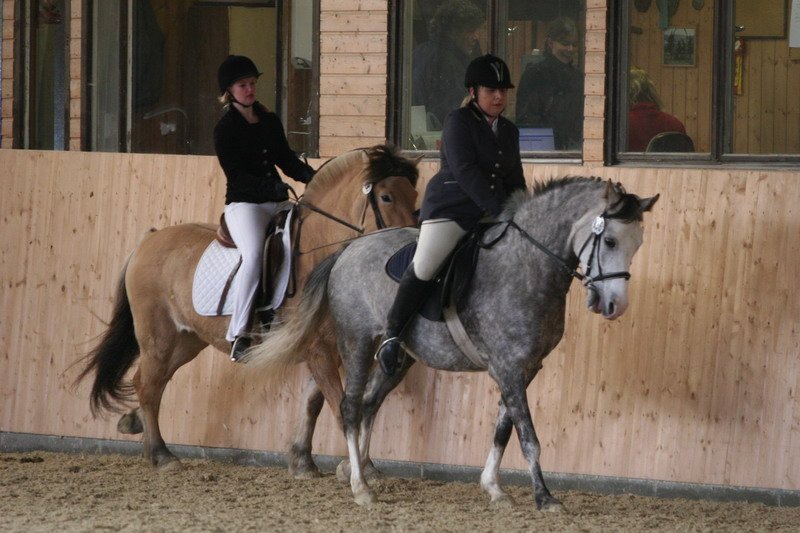 Geisenhausen 2009 067