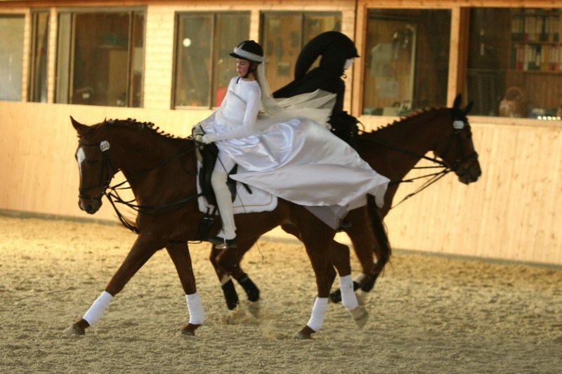 Geisenhausen 2009 105