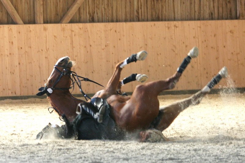 Geisenhausen 2009 107
