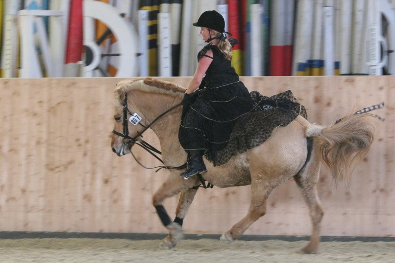 Geisenhausen 2009 135