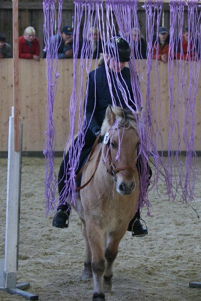 Geisenhausen 2009 165