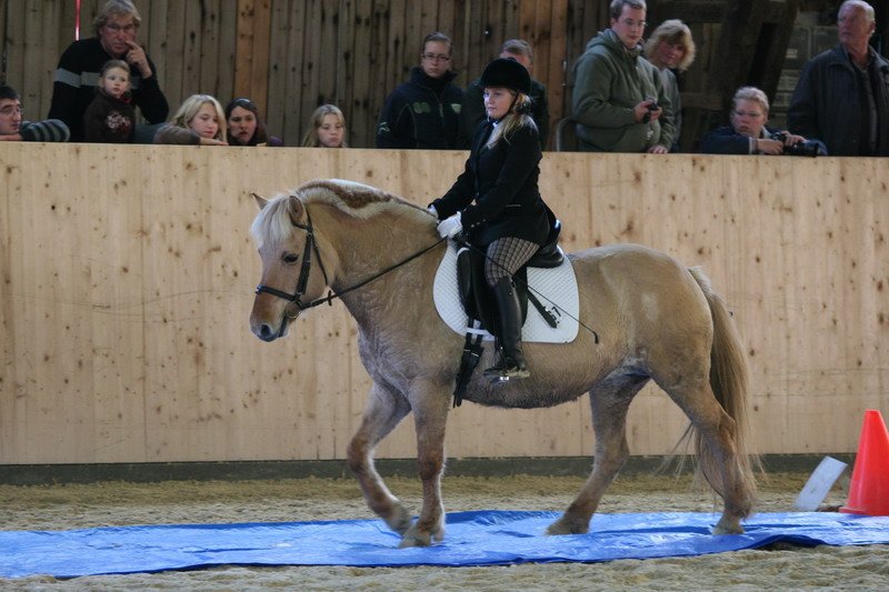 Geisenhausen 2009 166