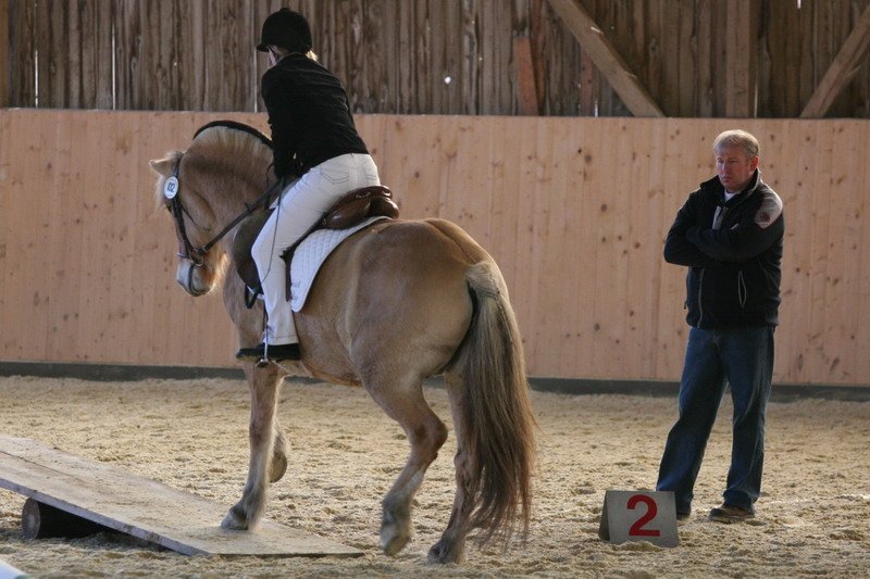 Geisenhausen 2009 171