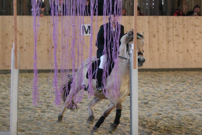 Geisenhausen 2009 174