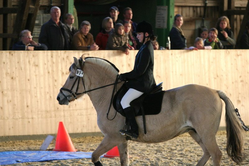 Geisenhausen 2009 175
