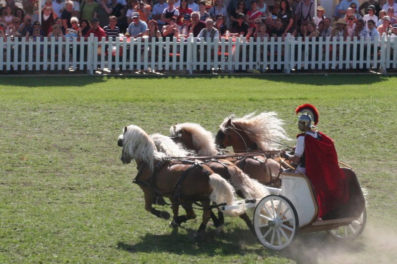 Pferd International 004