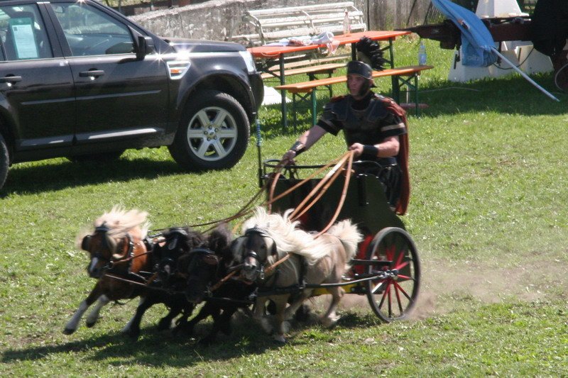 Pferd International 008