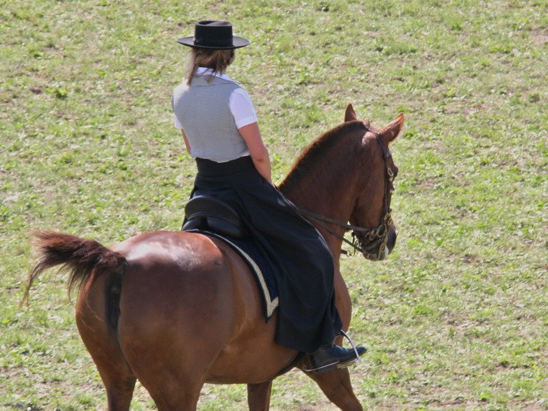 Pferd International 011