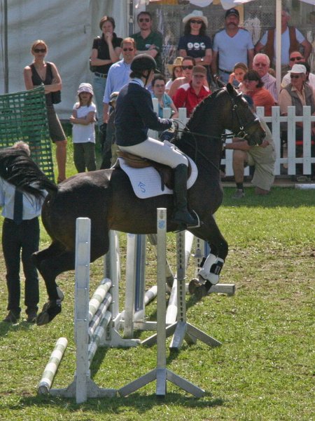 Pferd International 012