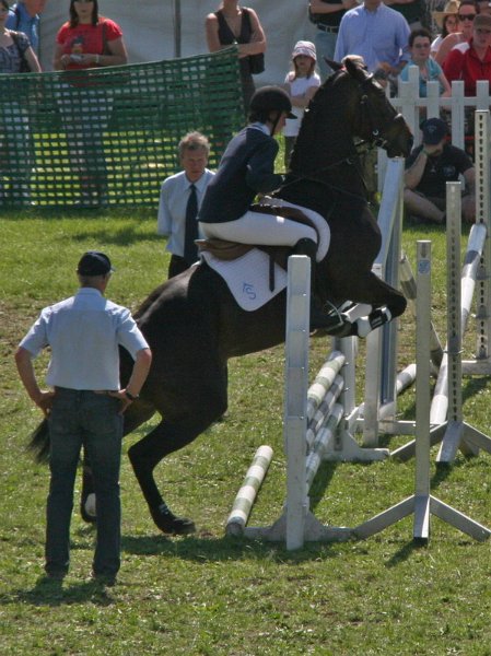 Pferd International 013