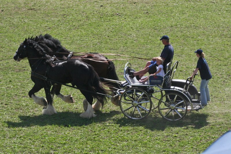 Pferd International 015