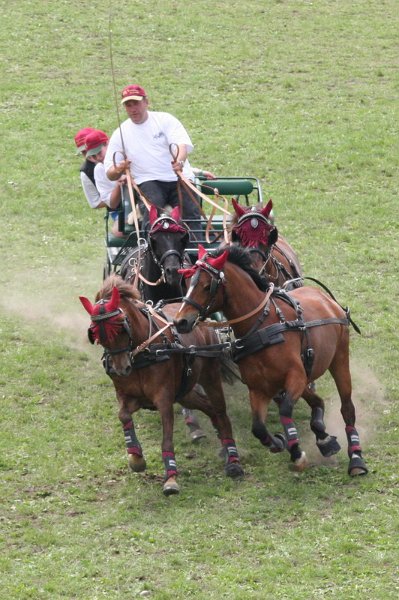Pferd International 018