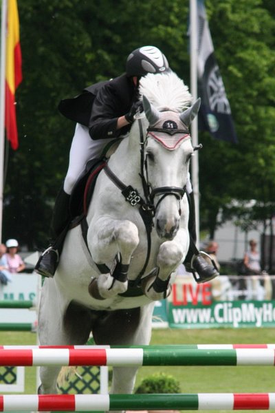 Pferd International 023