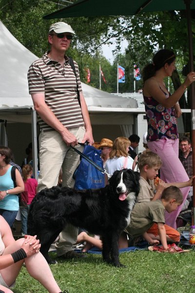 Pferd International 024
