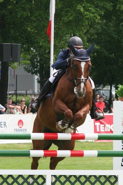 Pferd International 026