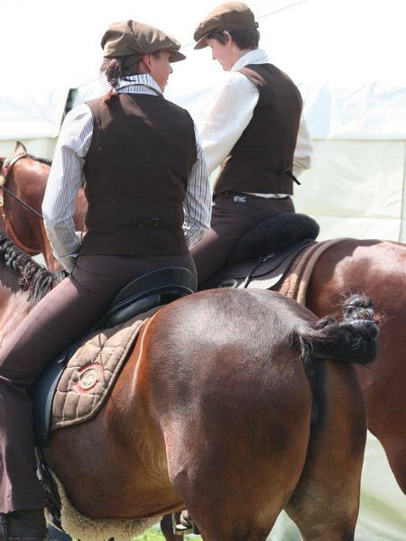 Pferd International 030