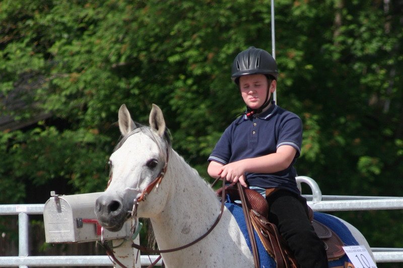 Pferd International 033