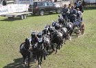 Pferd International 002