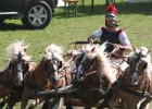Pferd International 005