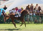 Pferd International 009