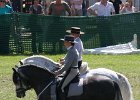 Pferd International 014