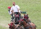 Pferd International 018