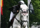 Pferd International 023