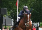 Pferd International 026