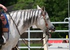 Pferd International 032
